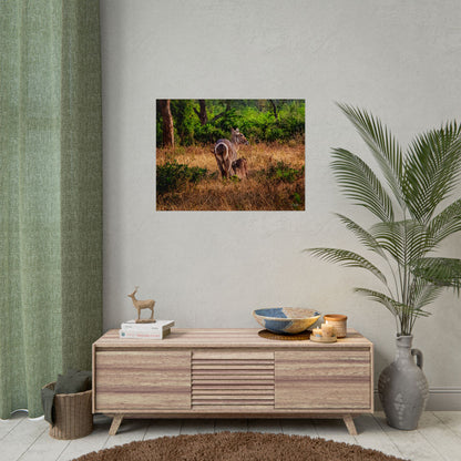 Rolled Posters - Waterbuck and Baby 32" x 24" (Horizontal) Semi Glossy