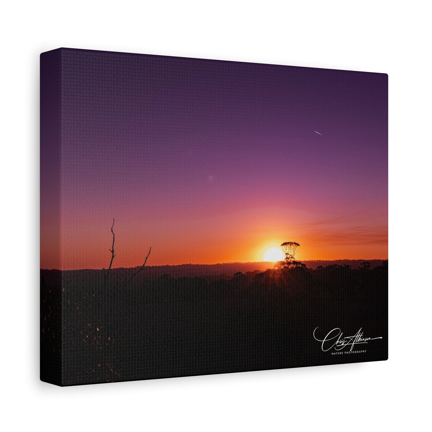 Matte Canvas, Stretched, 1.25" - Purple Sunset