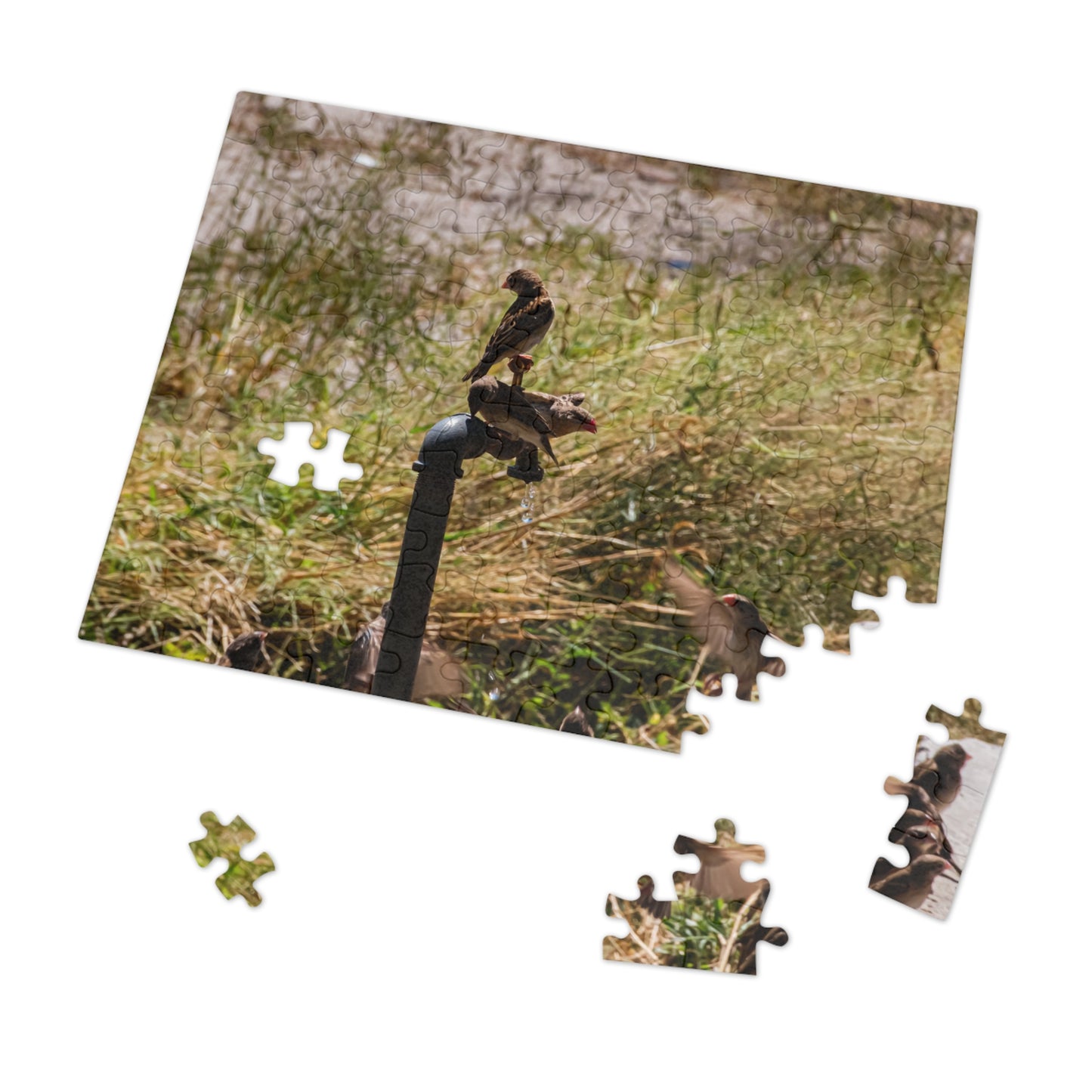 African Birds Jigsaw Puzzle with Tin