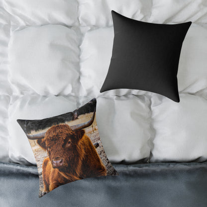 Highland Cattle Pillow