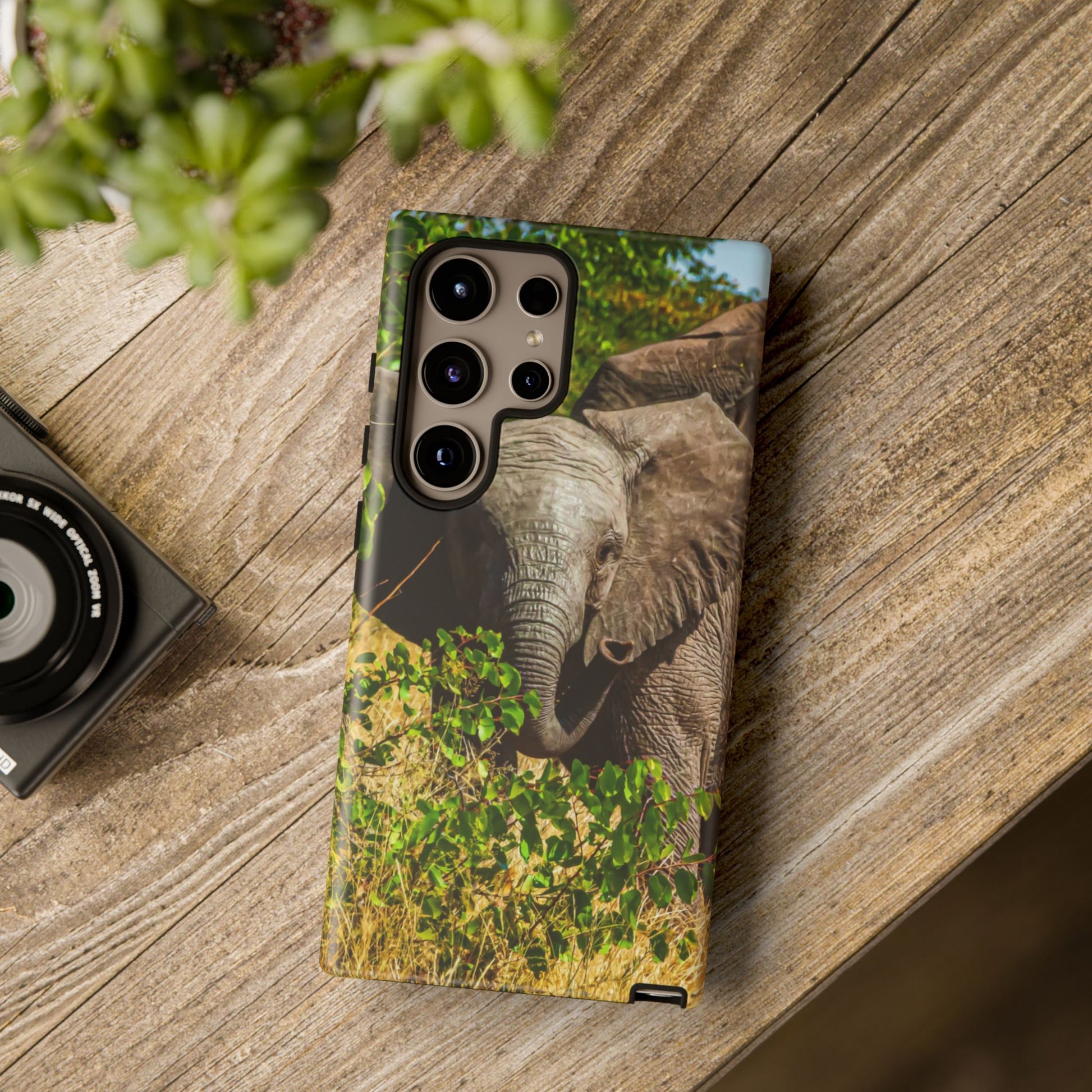 Tough Case - Young Elephant