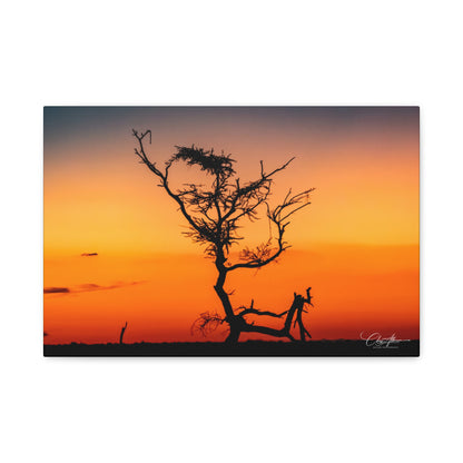 Matte Canvas, Stretched, 1.25" - Sunset over the Kalahari