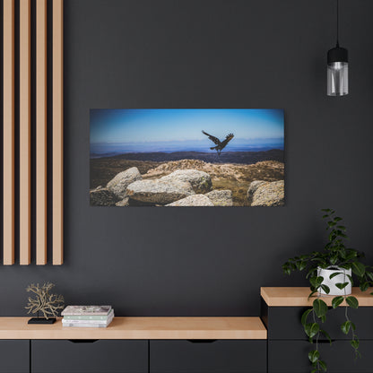 Little Raven Mt Kosciuszko Canvas Print