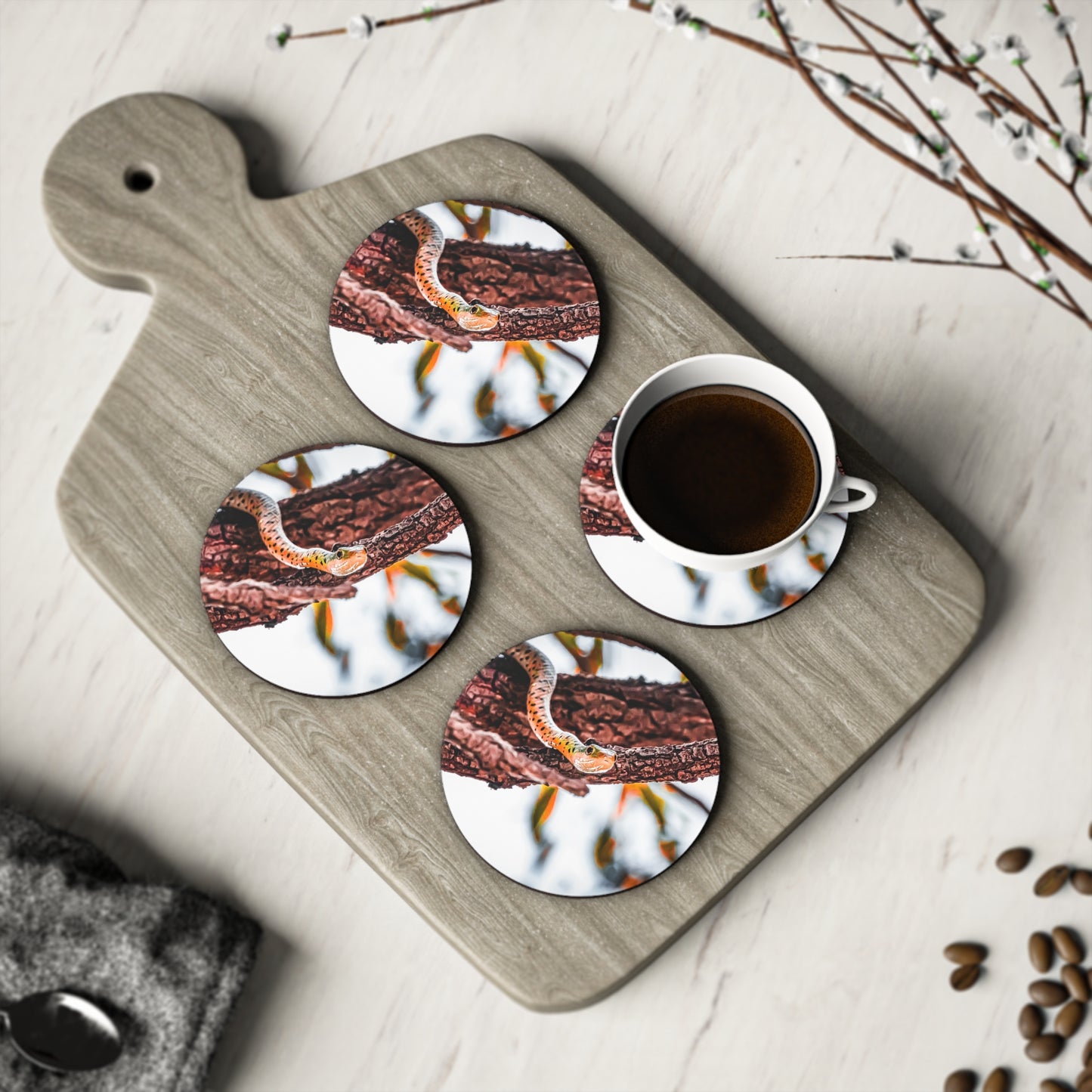 Spotted Bush Snake Coasters