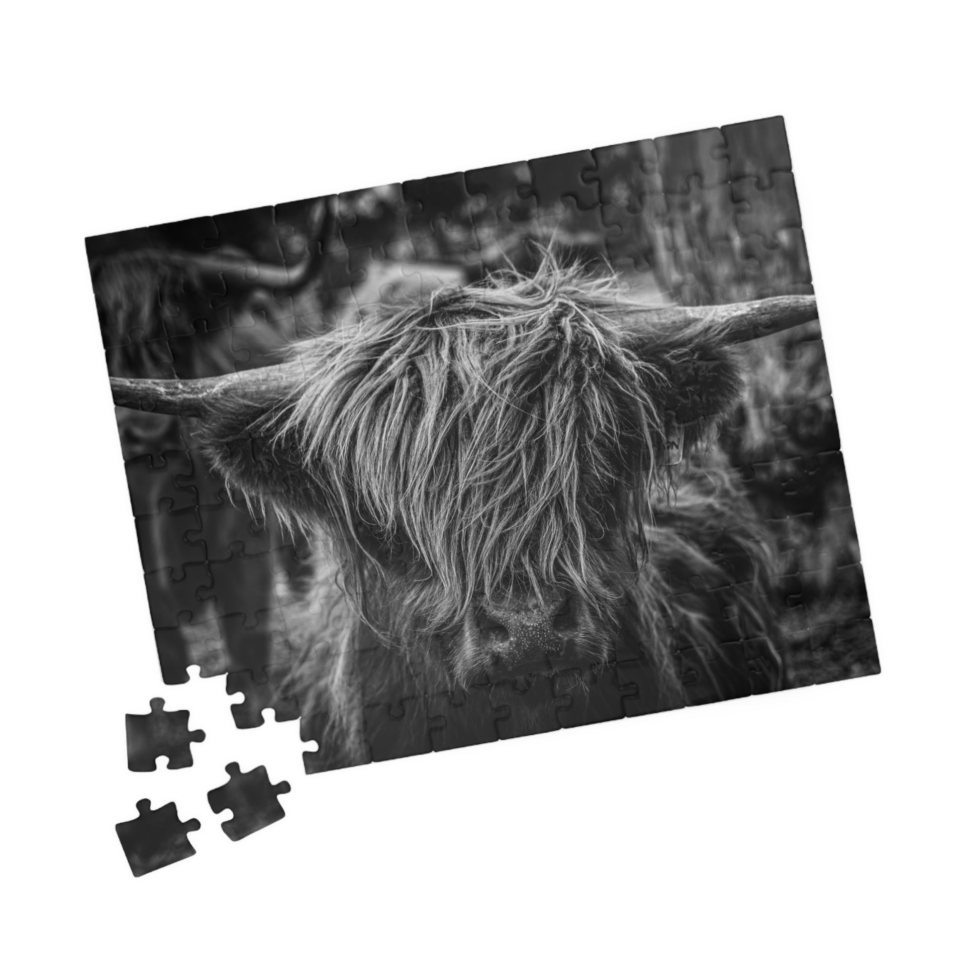 Scottish Highland Cattle Puzzle B&W