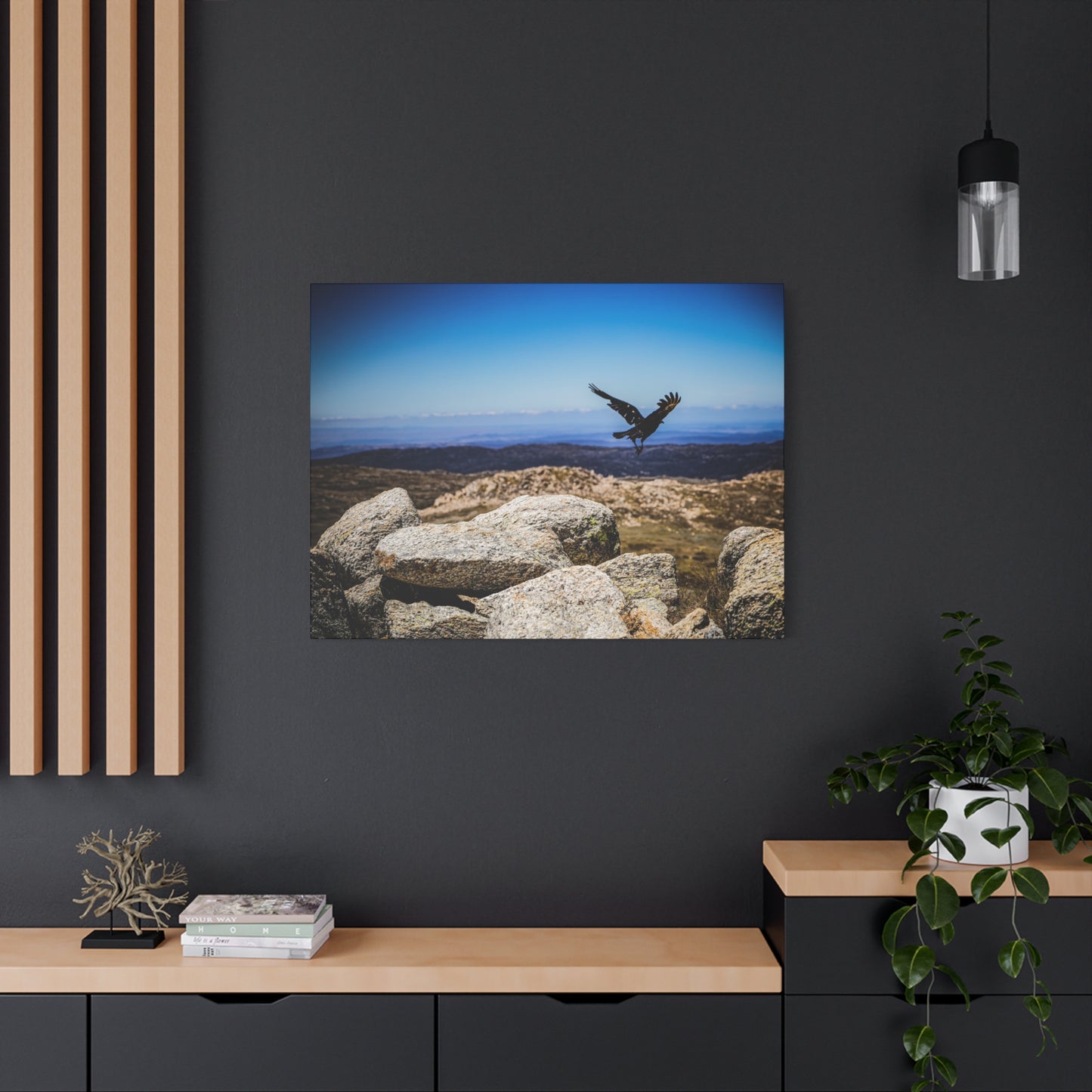 Little Raven Mt Kosciuszko Canvas Print