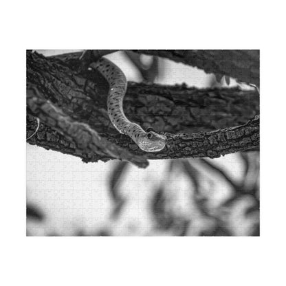 Spotted Bush Snake Puzzle B&W