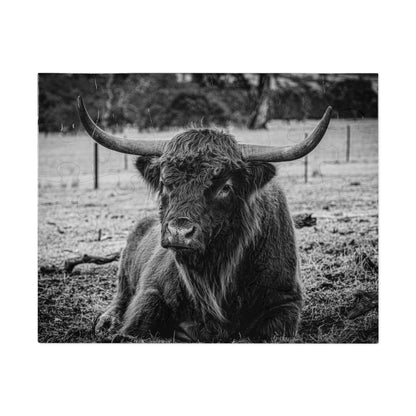 Scottish Highland Cattle Puzzle with Tin B&W 10" × 8" (30 pcs)