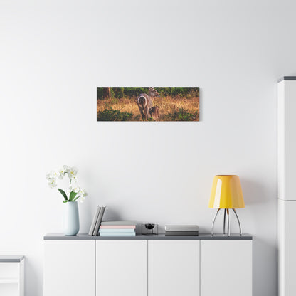 Waterbuck Nature Prints Matte Canvas