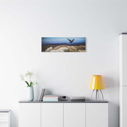 Little Raven Mt Kosciuszko Canvas Print