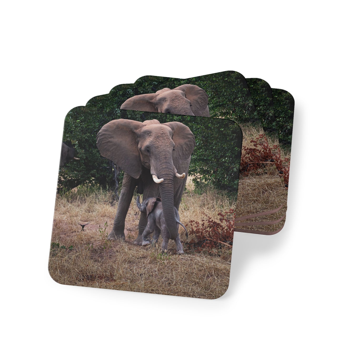 Calf Drinking Elephant Coasters Square 3.7" x 3.7" 4pcs