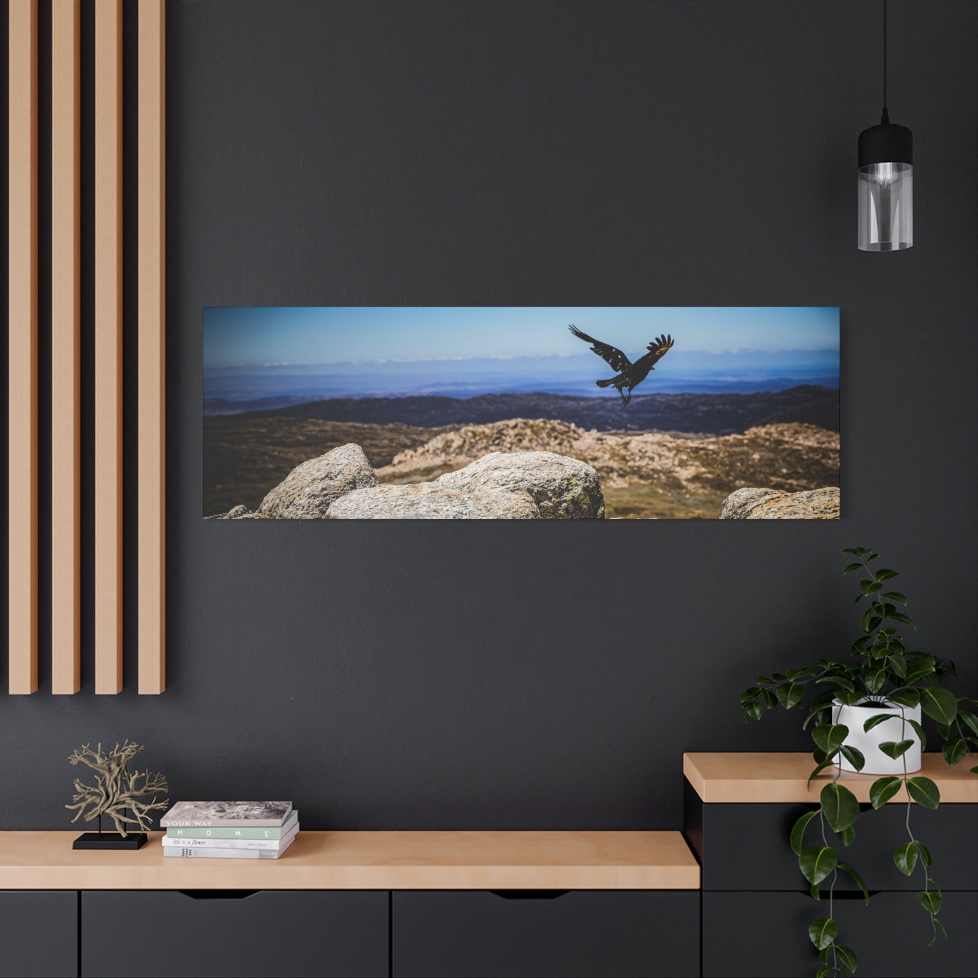 Little Raven Mt Kosciuszko Canvas Print