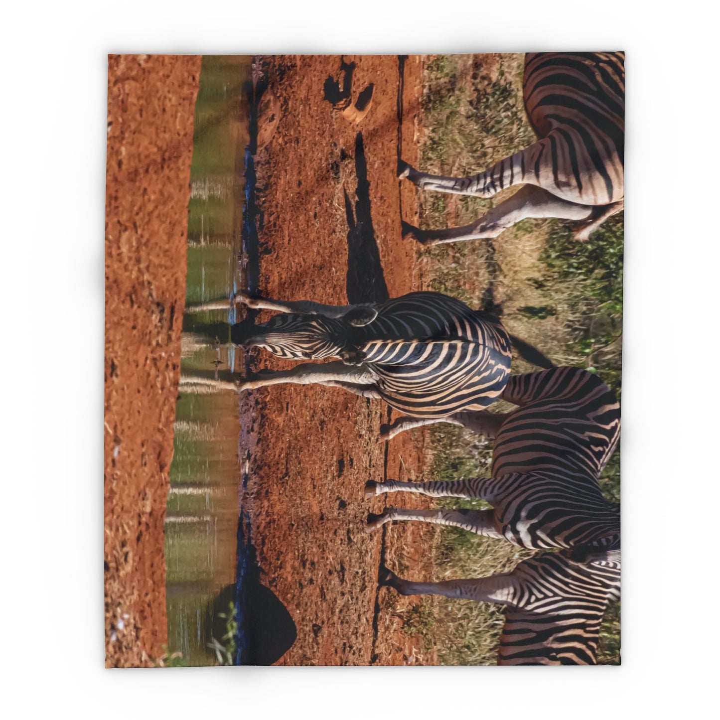 Arctic Fleece Blanket - Zebra Drinking