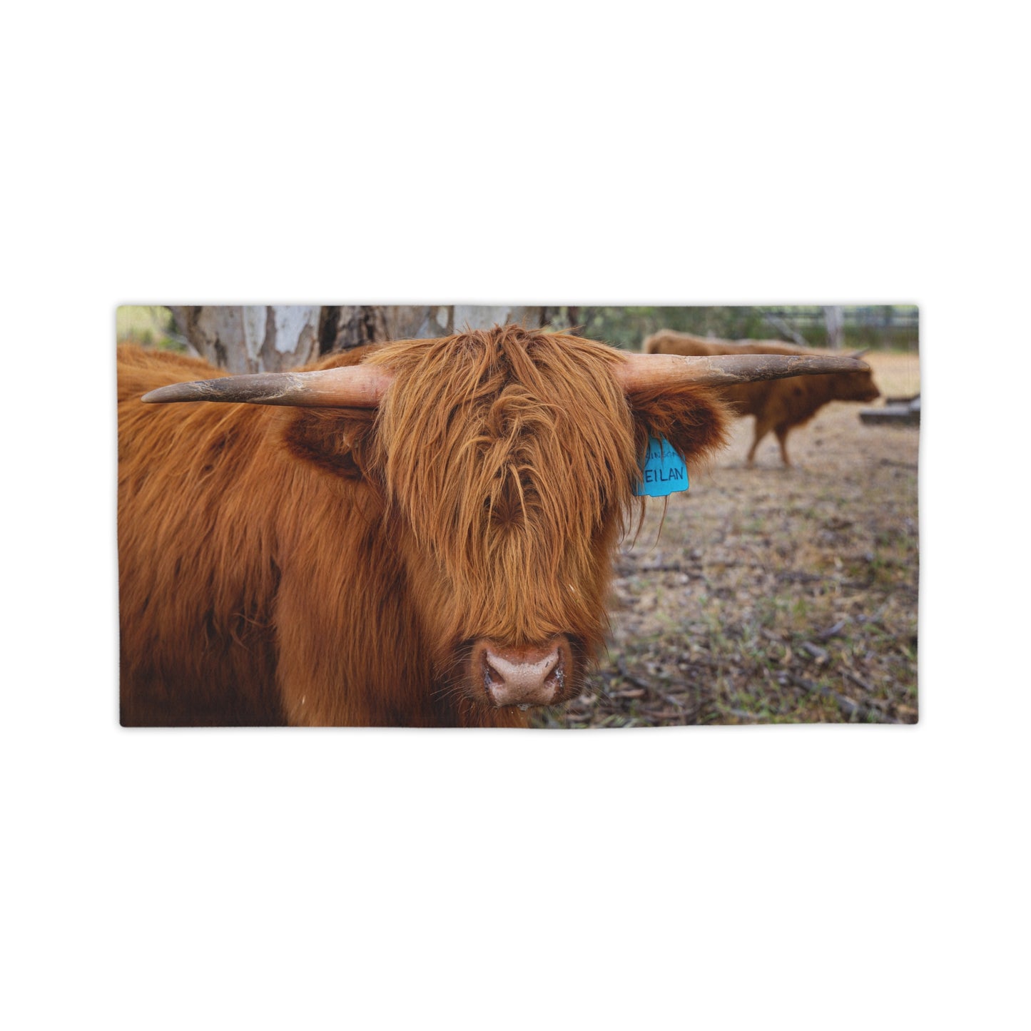 Scottish Highland Beach Towels