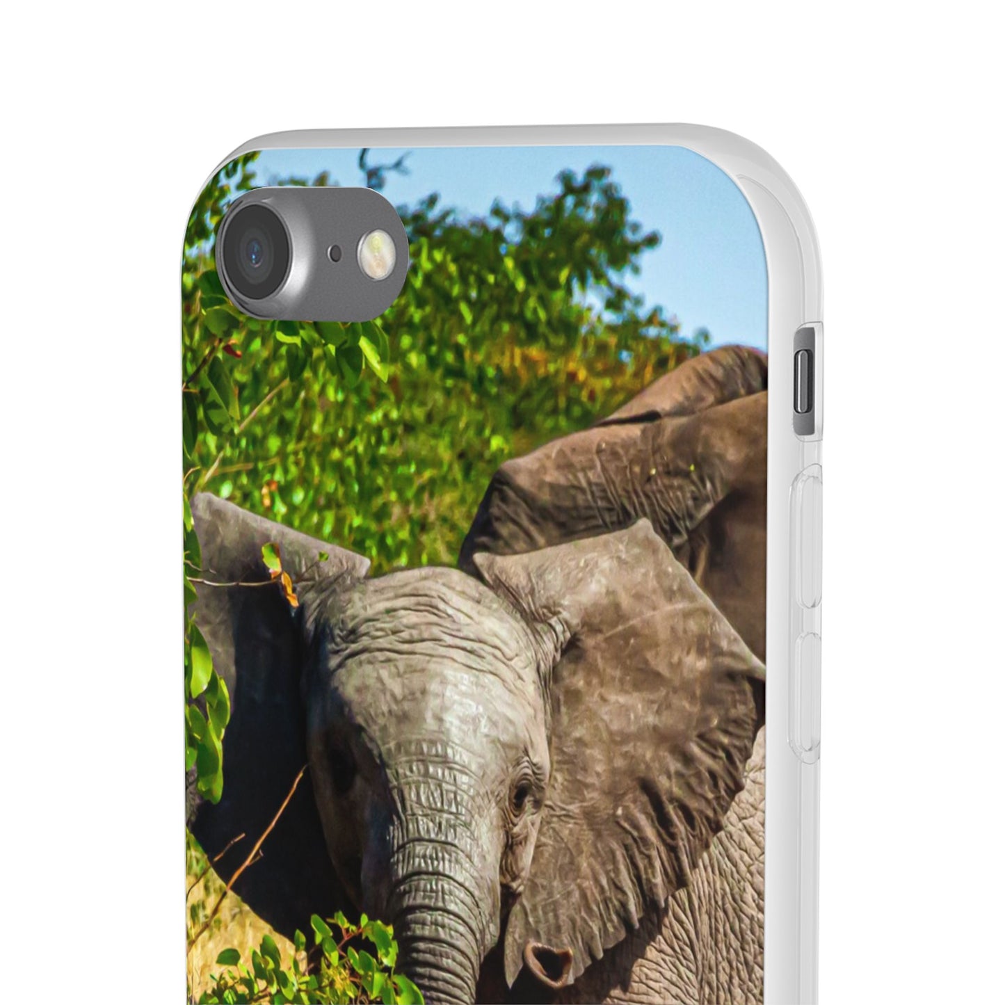 Flexible Young Elephant Cases