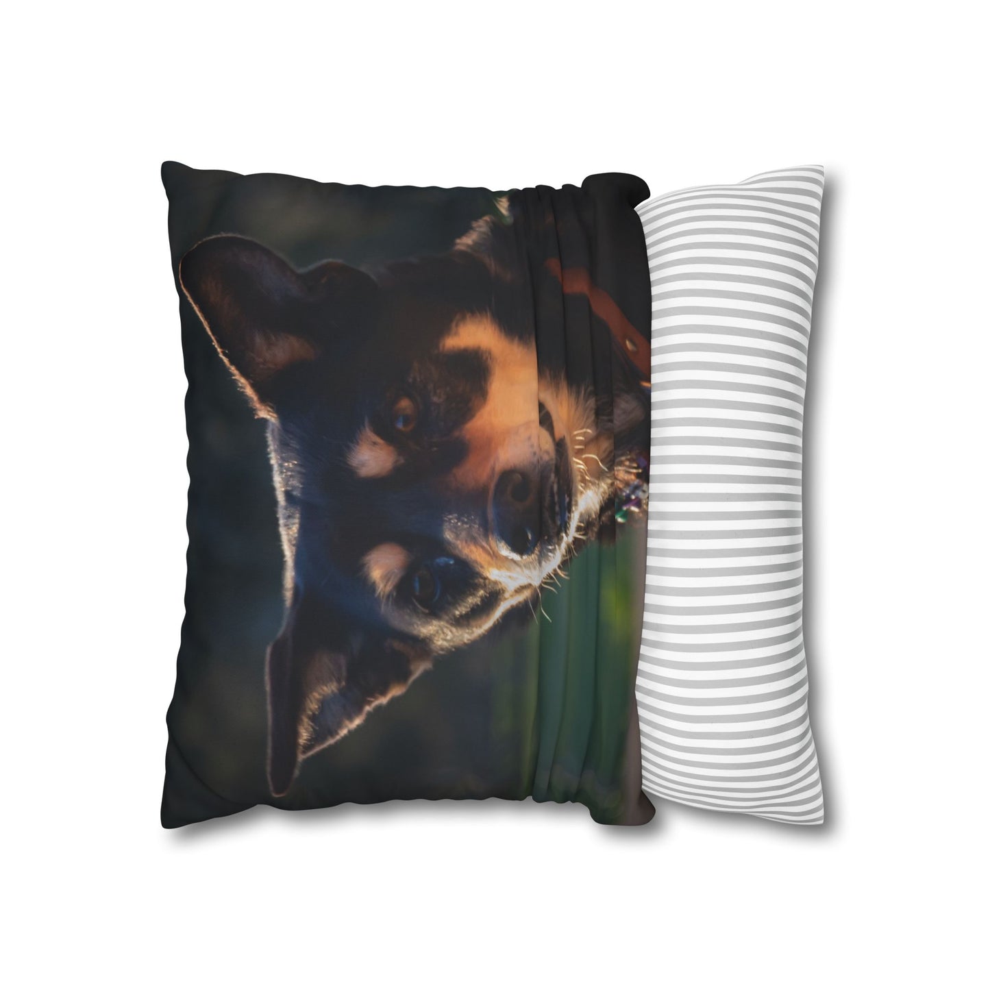 Poly Canvas Pillowcase - Saba the Kelpie