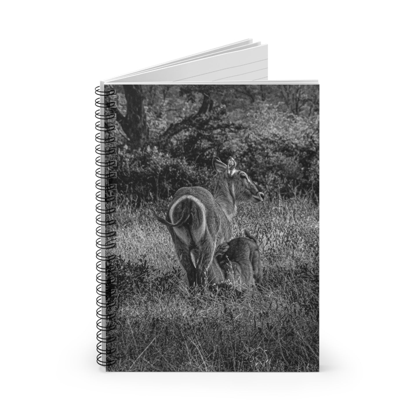 Waterbuck Baby Animal Notebook B&W One Size