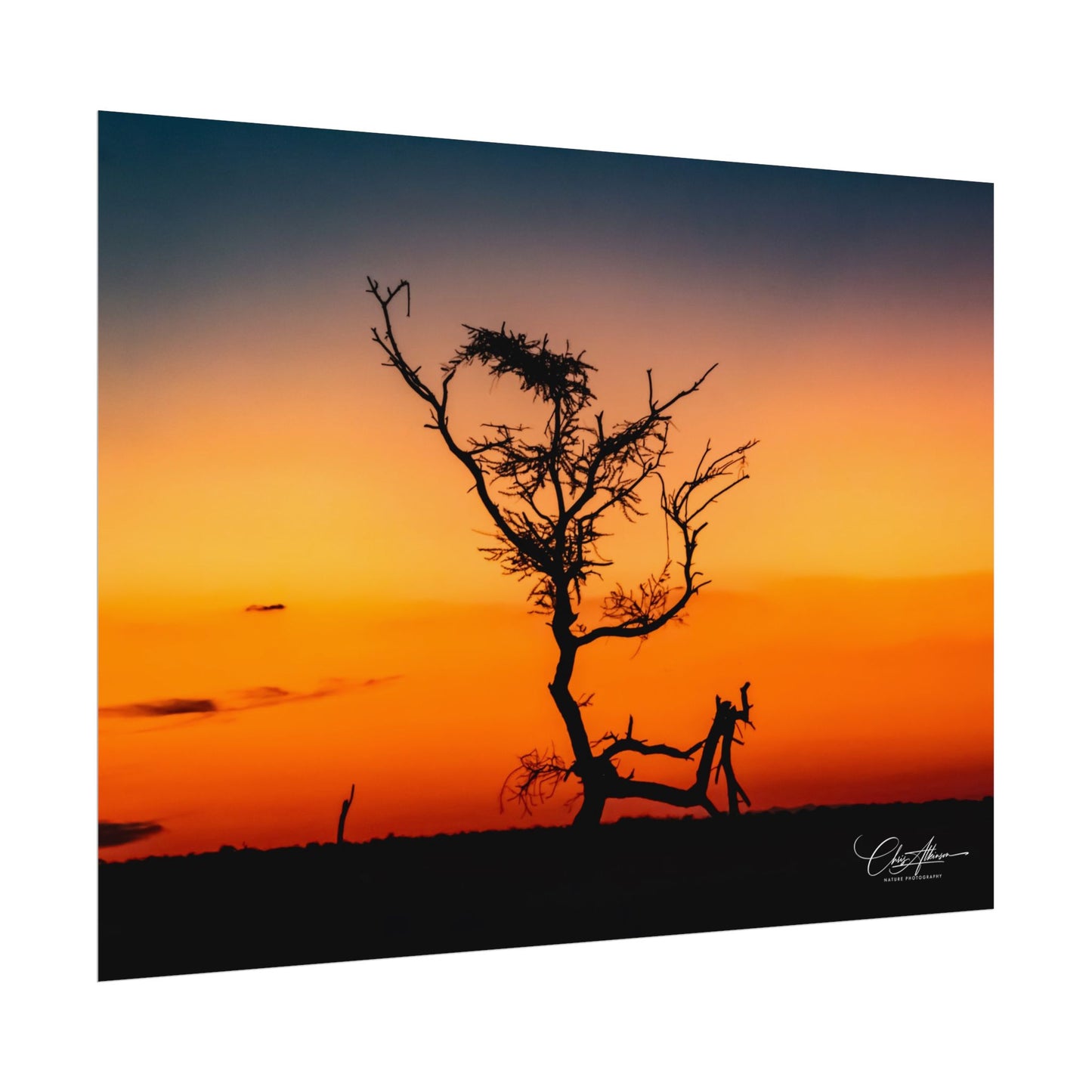 Rolled Posters - Sunset over the Kalahari