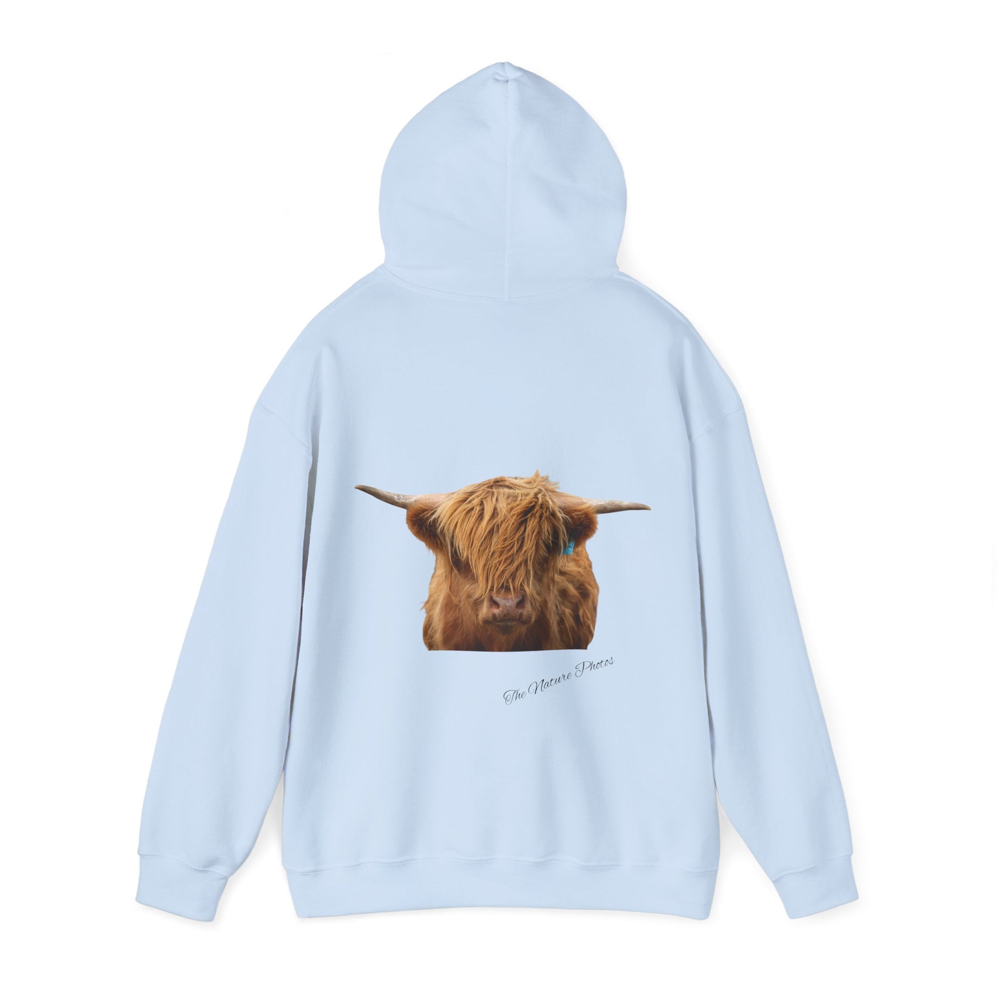 Highland Cow Hoodie