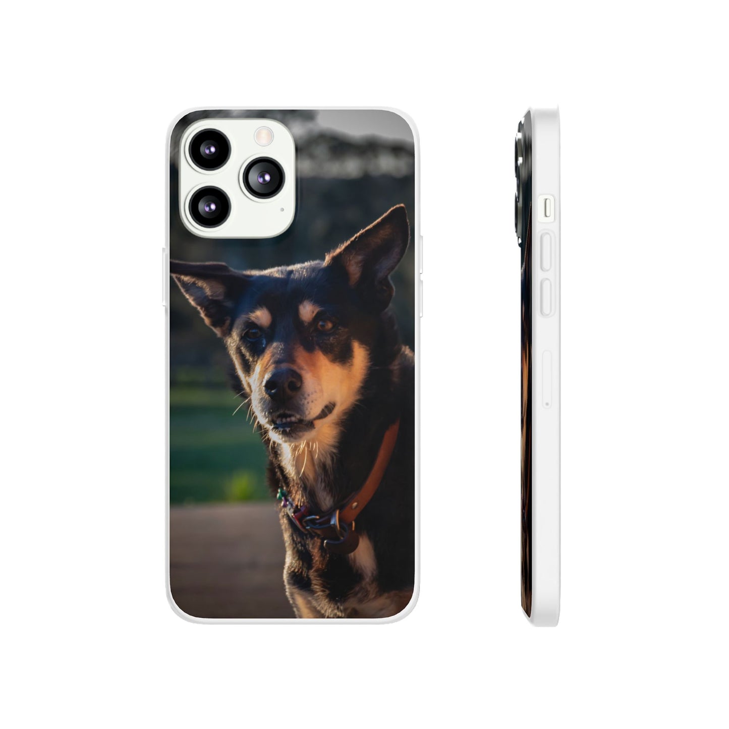 Flexi Cases - Saba the Kelpie