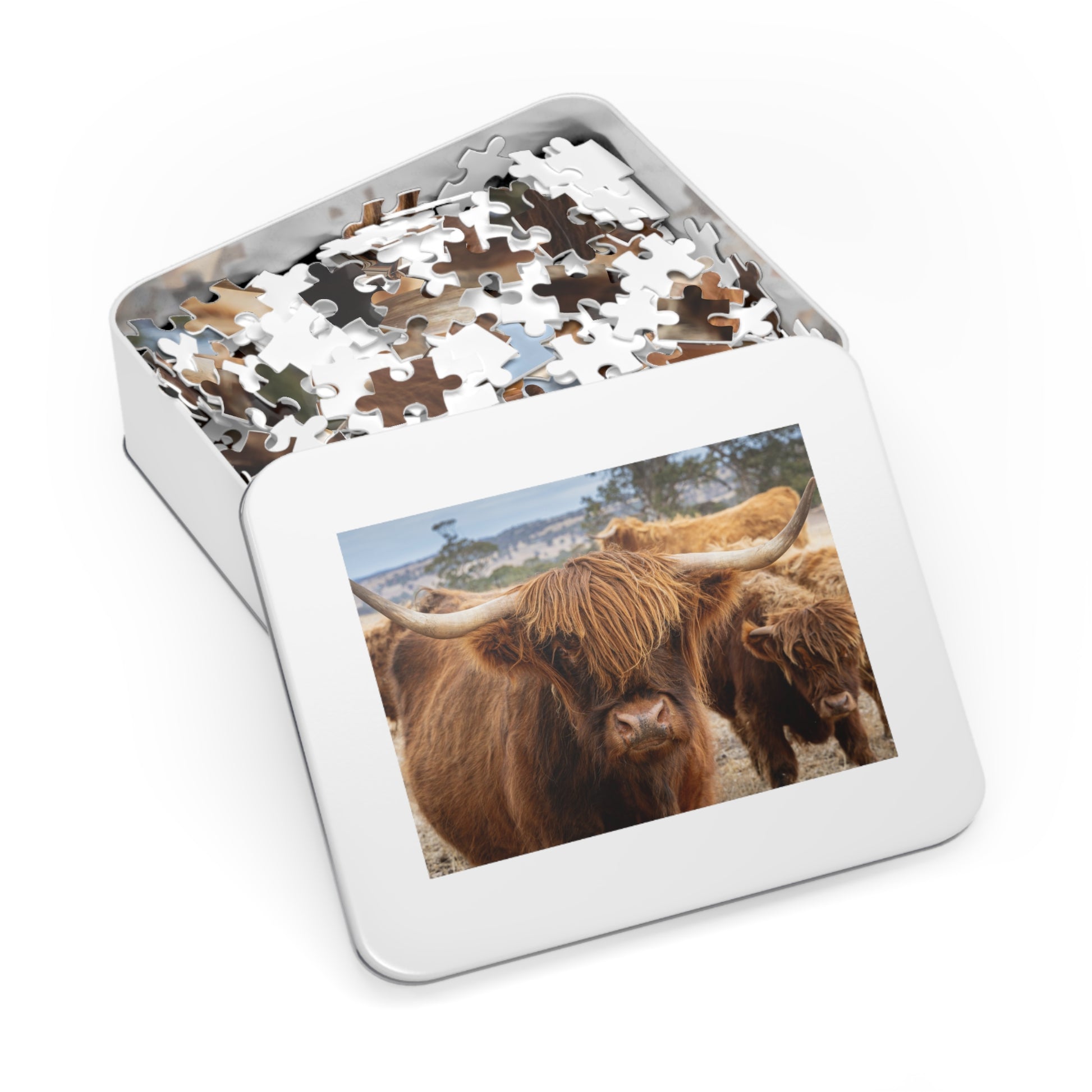 Scottish Highland Cattle Puzzle with Tin