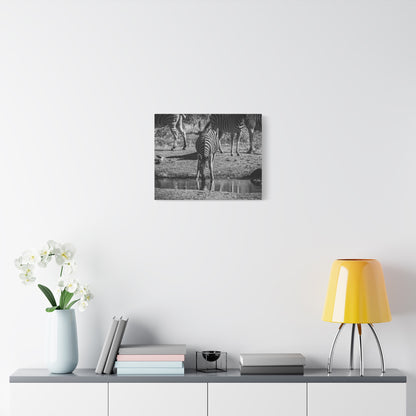 Zebra Nature Print Canvas Print B&W