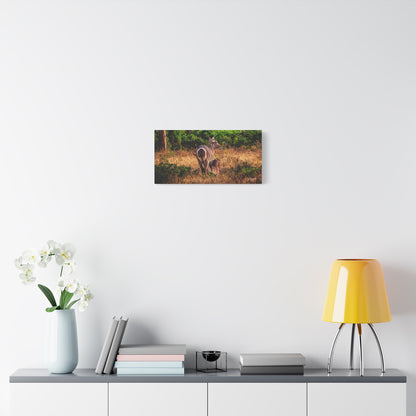 Waterbuck Nature Prints Matte Canvas