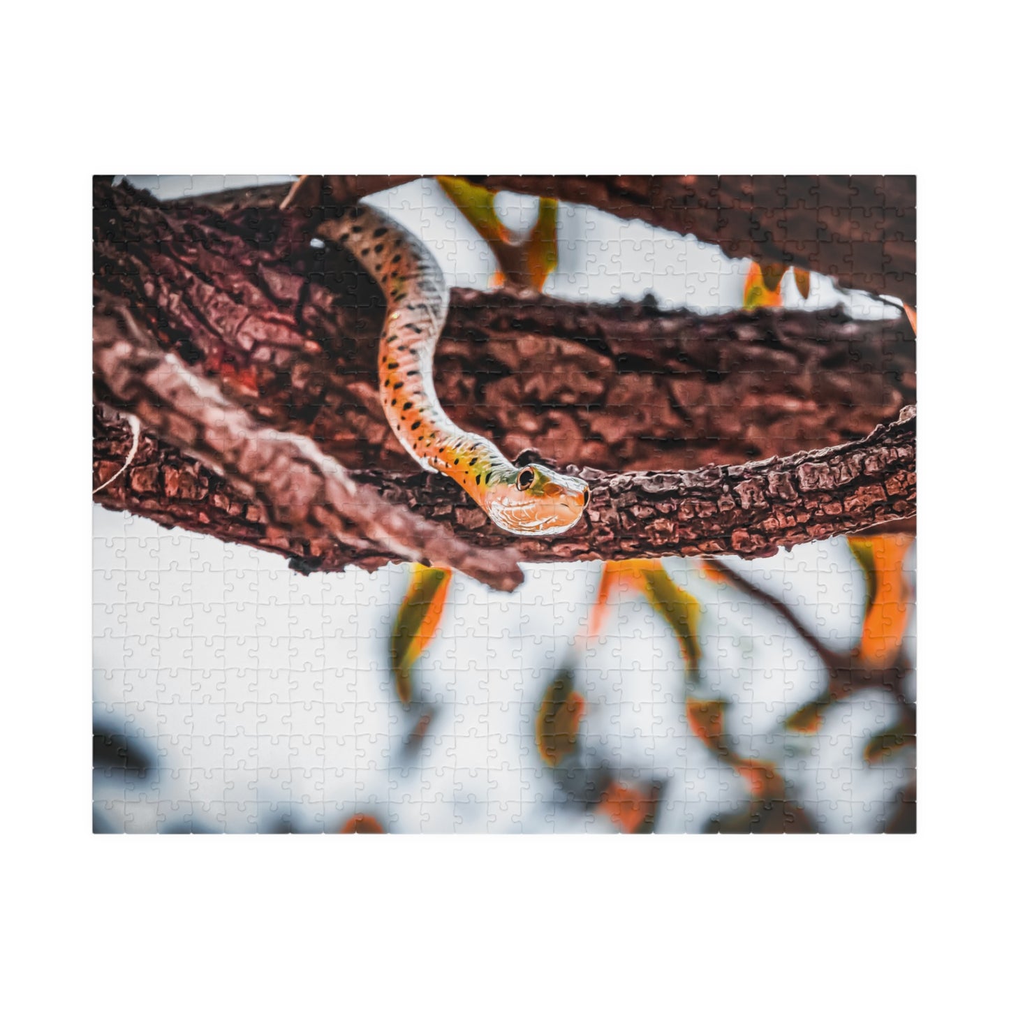 Spotted Bush Snake Puzzle