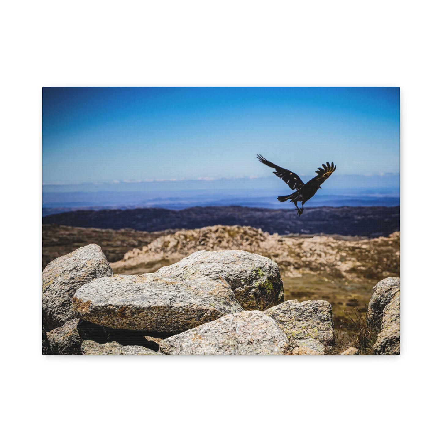 Little Raven Mt Kosciuszko Canvas Print 16″ x 12″ (Horizontal) 1.25"