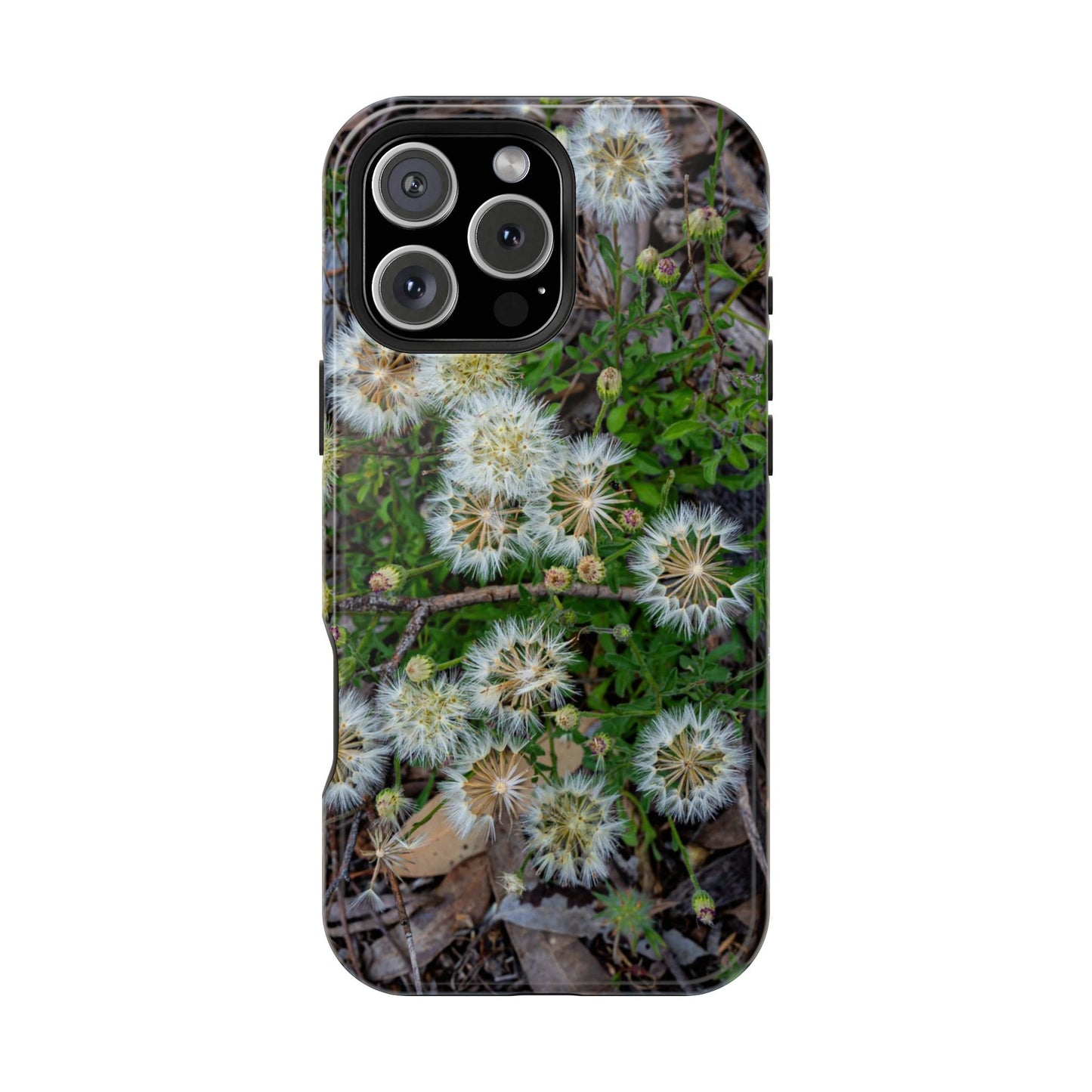 Magsafe® Compatible Tough Cases - Australian Wildflower Collection