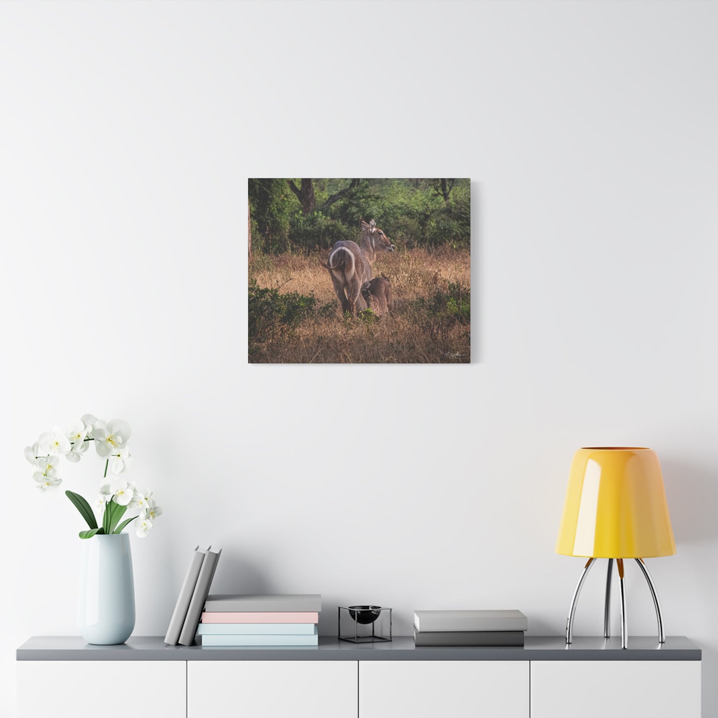 Matte Canvas, Stretched, 1.25" - Waterbuck and Baby