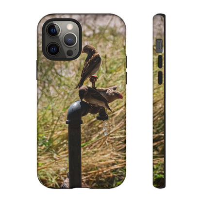 Tough Case - Birds at A Dripping Tap iPhone 12 Pro Glossy