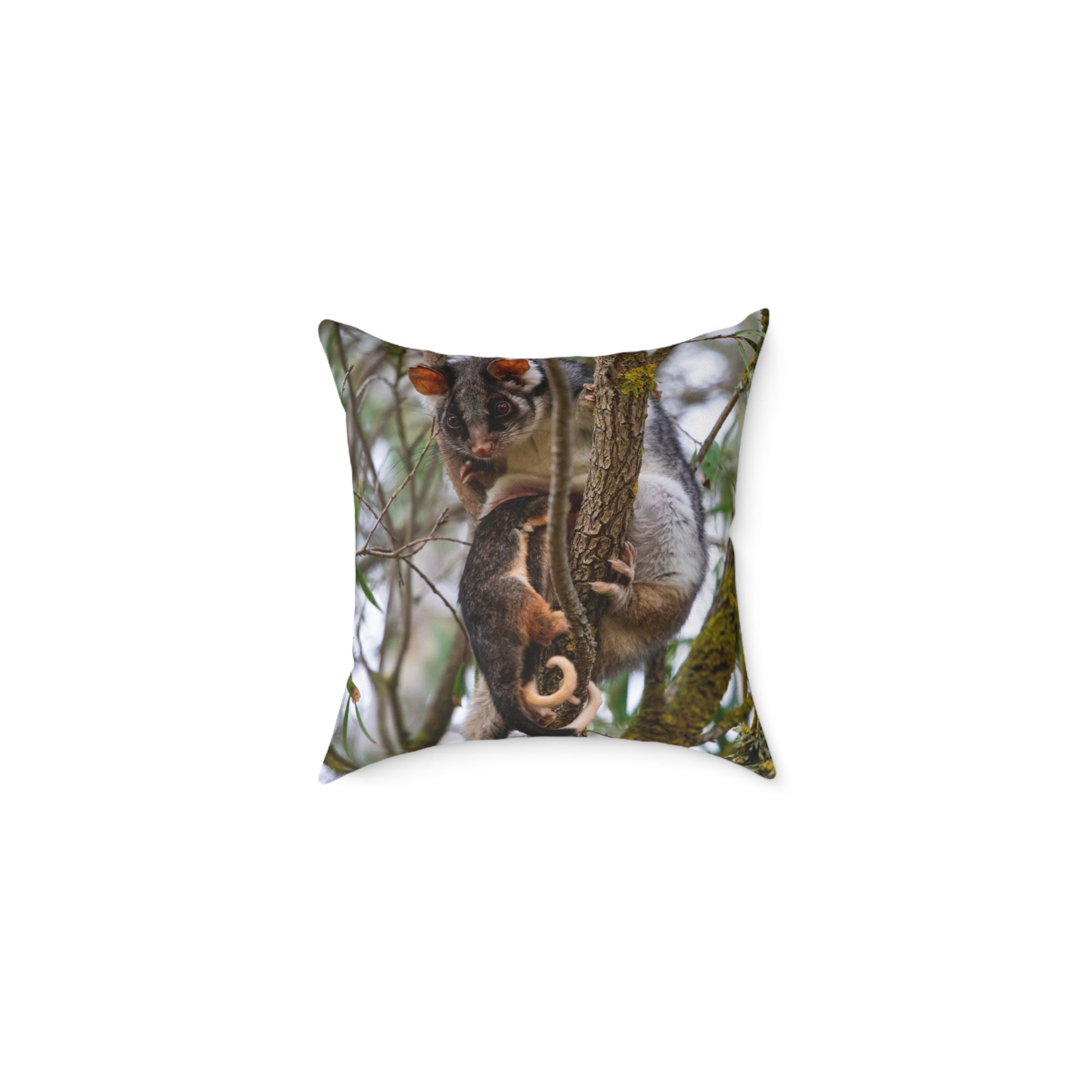 Ring-Tailed Possum Pillow 16" × 16"