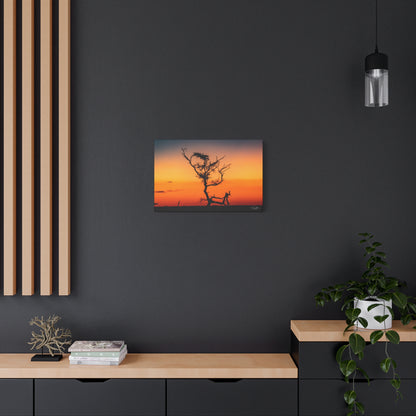 Matte Canvas, Stretched, 1.25" - Sunset over the Kalahari