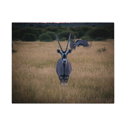 Jigsaw Puzzle (30, 110, 252, 500 Piece) - Gemsbok