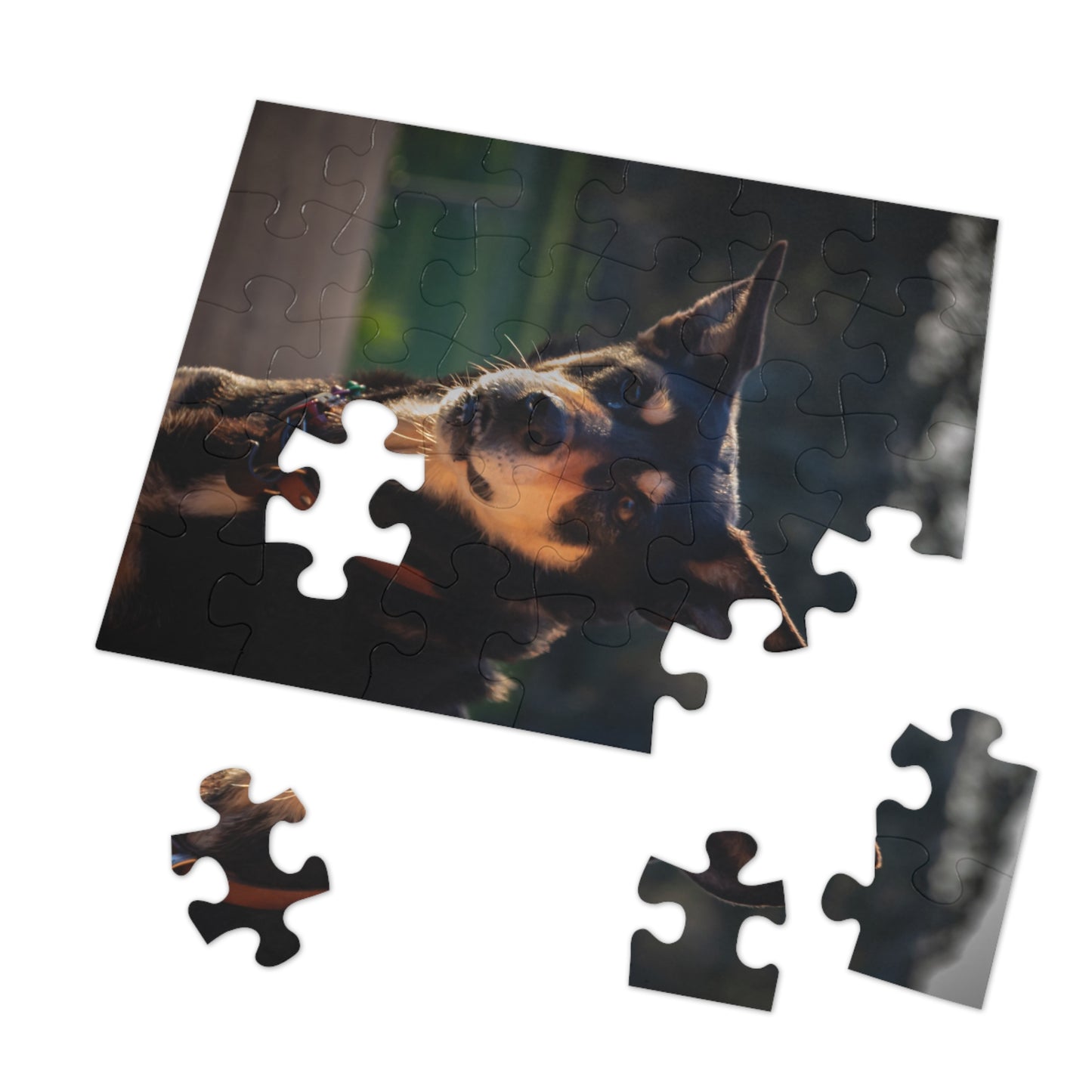 Jigsaw Puzzle (30, 110, 252, 500 Piece) - Saba the Kelpie