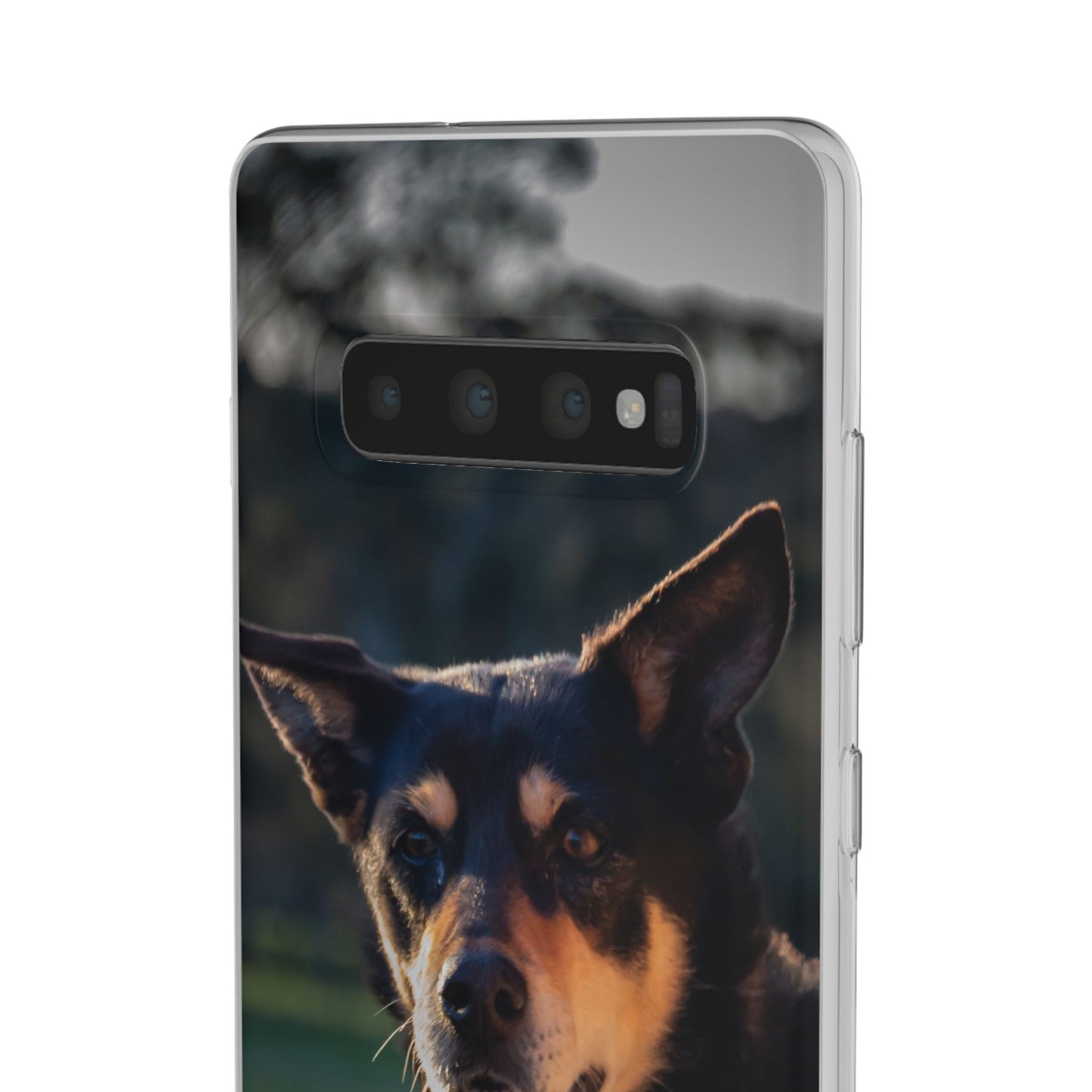 Flexi Cases - Saba the Kelpie