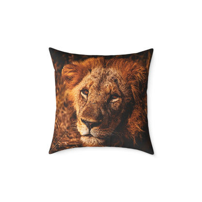 Old Lion Pillow 20" × 20"