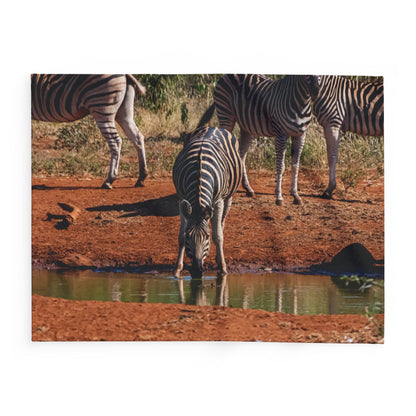 Arctic Fleece Blanket - Zebra Drinking