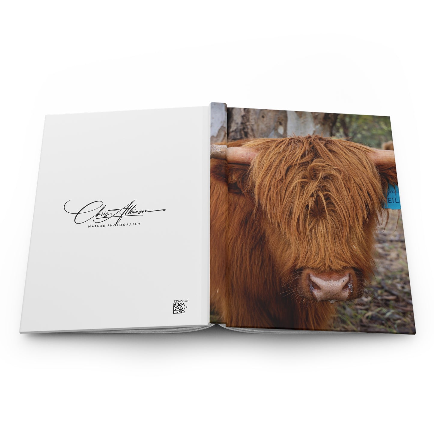 Hardcover Journal Matte - Scottish Highland Cattle