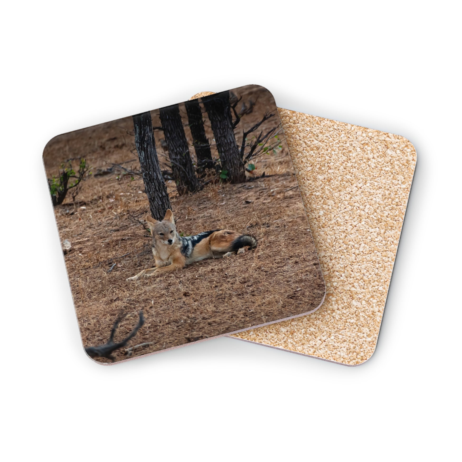 Black-Backed Jackal Coasters