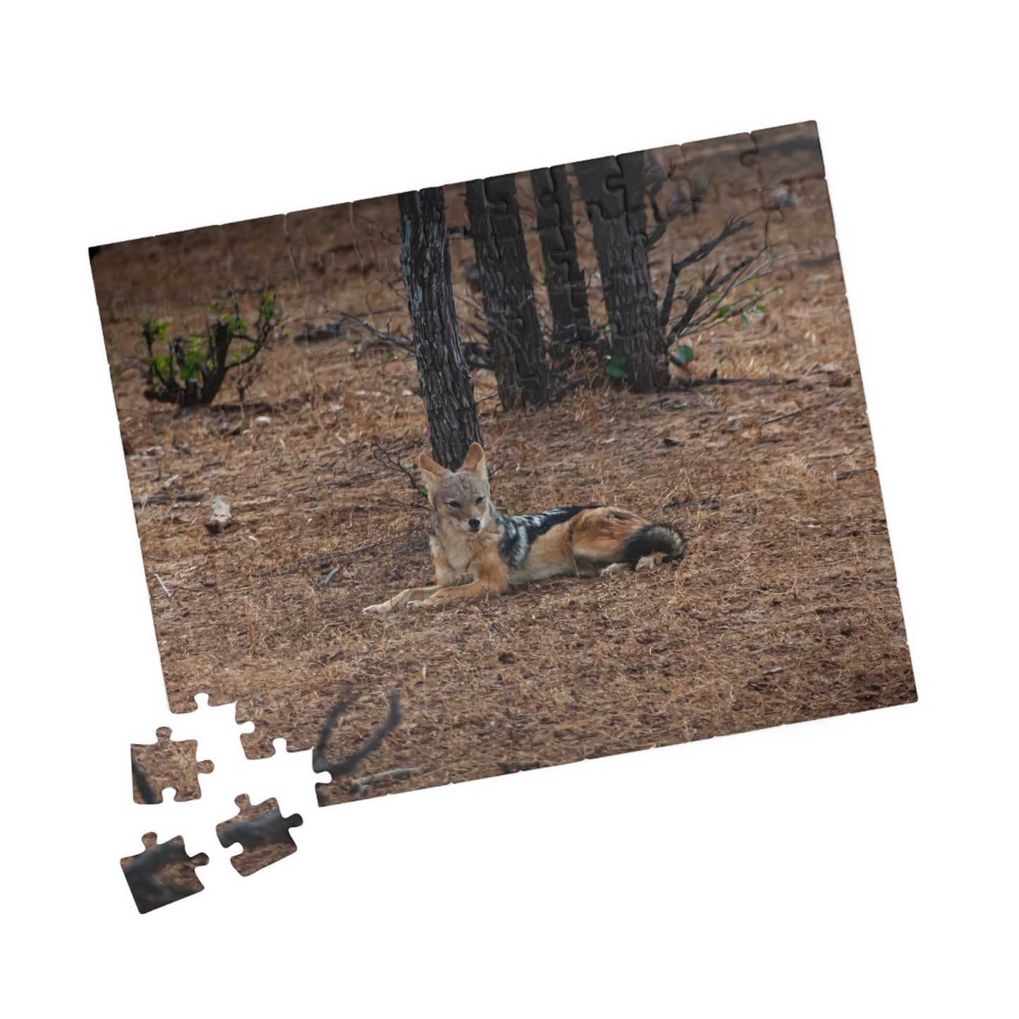 Puzzle (110, 252, 520, 1014-piece) - Jackal