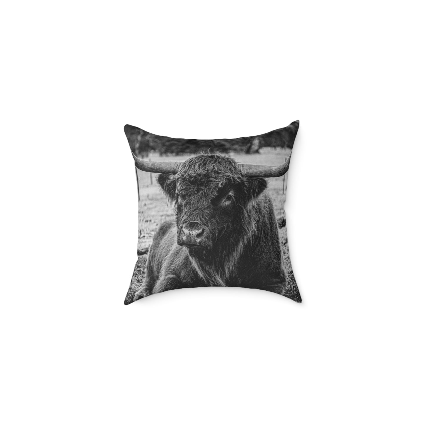 Highland Cattle Pillow B&W 16" × 16"