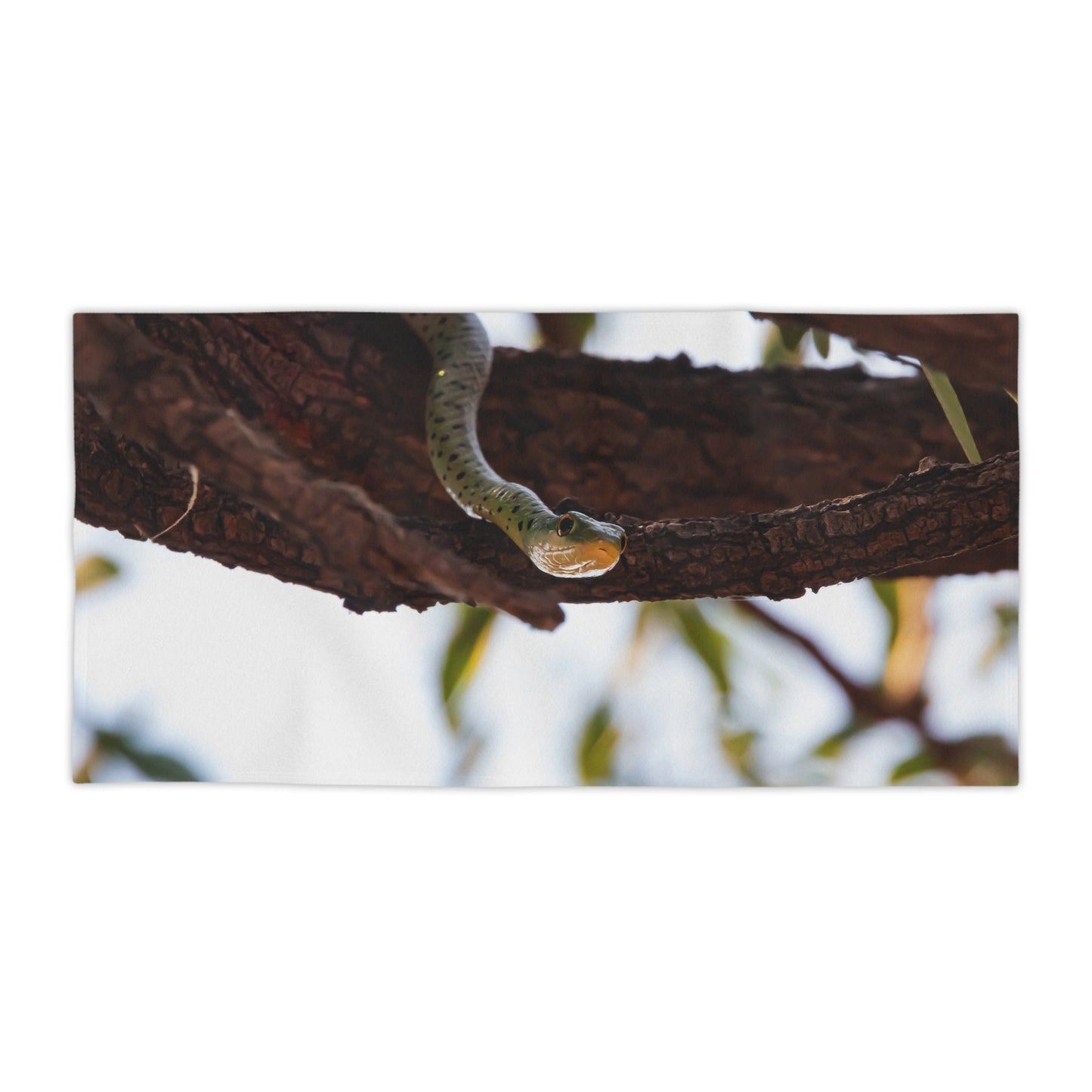 Beach Towels - Spotted Bush Snake