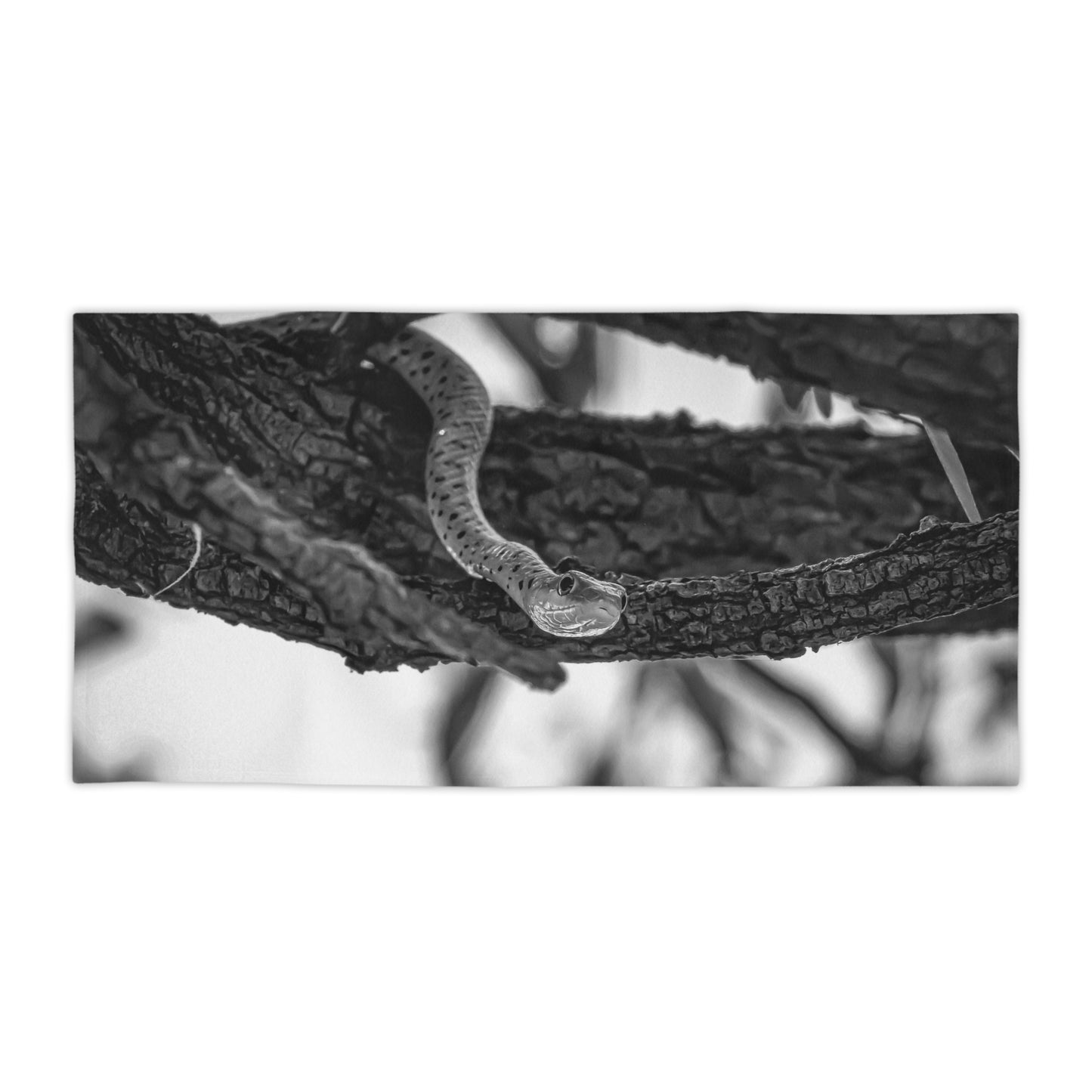 Spotted Bush Snake Beach Towels B&W 30" × 60"