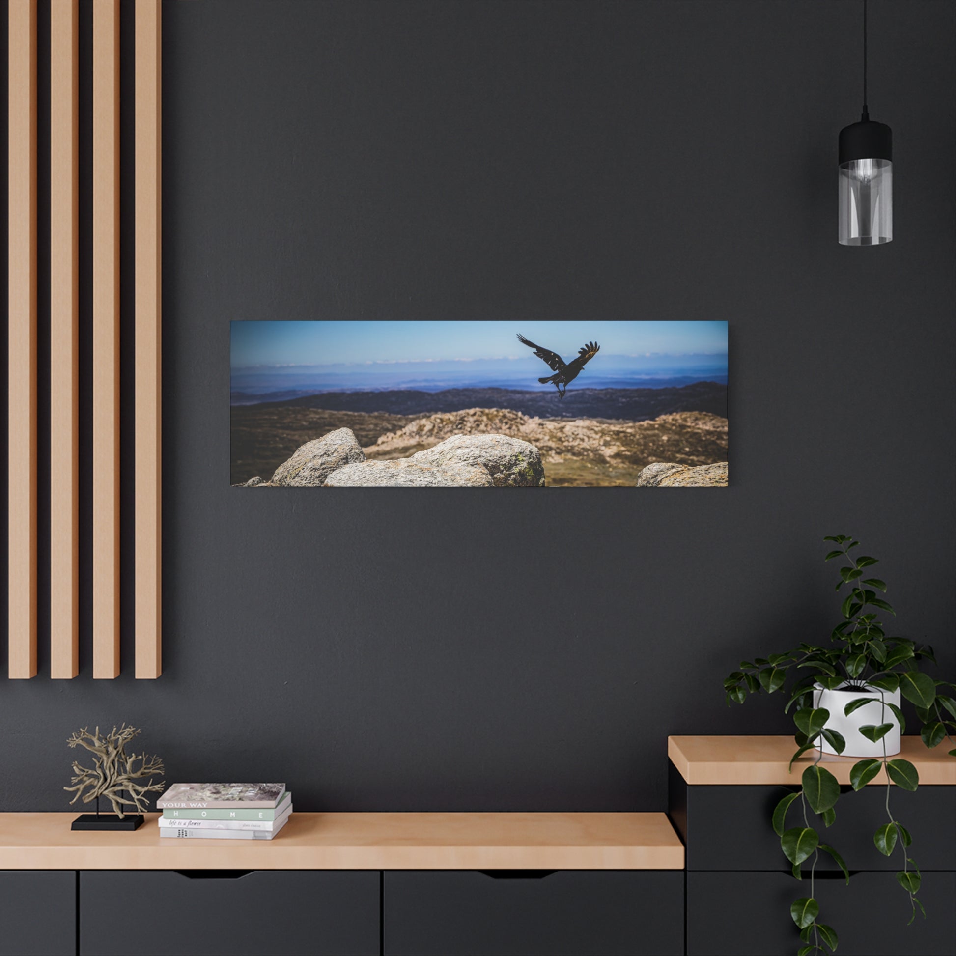 Little Raven Mt Kosciuszko Canvas Print