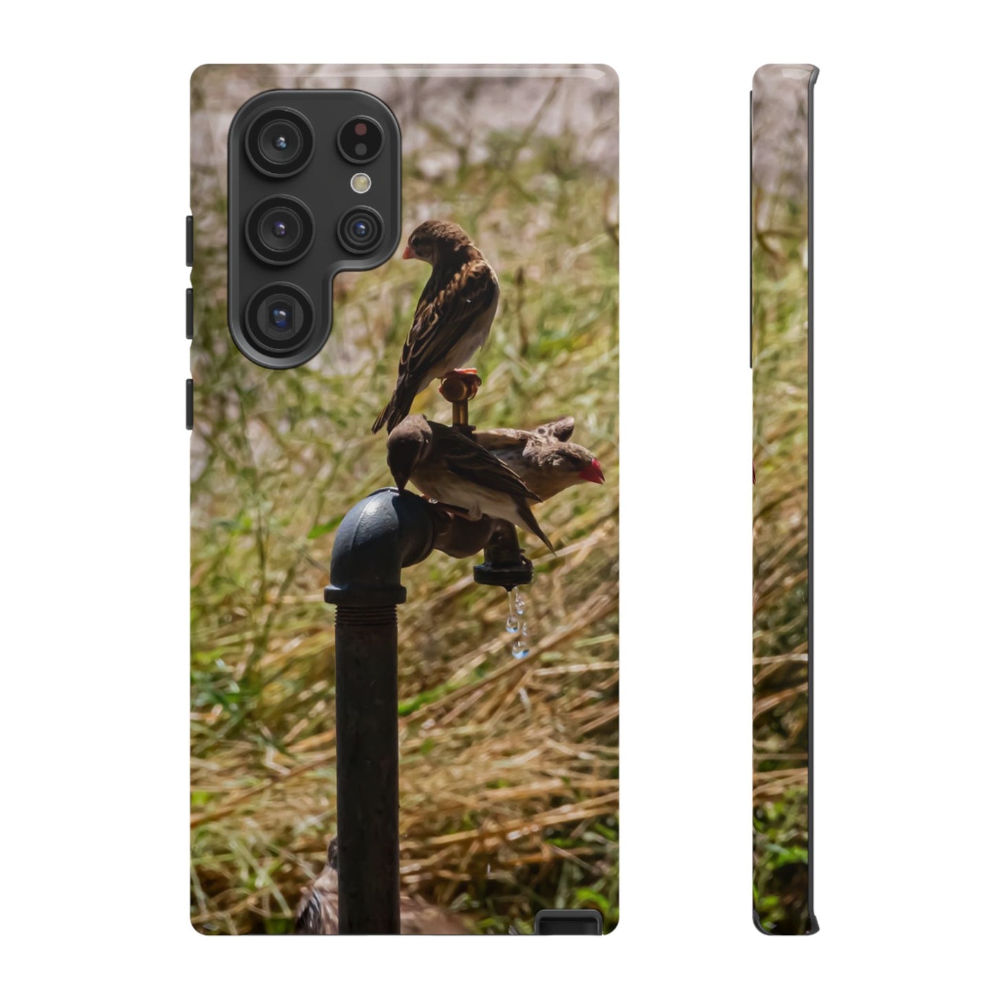 Tough Case - Birds at A Dripping Tap Samsung Galaxy S22 Ultra Glossy