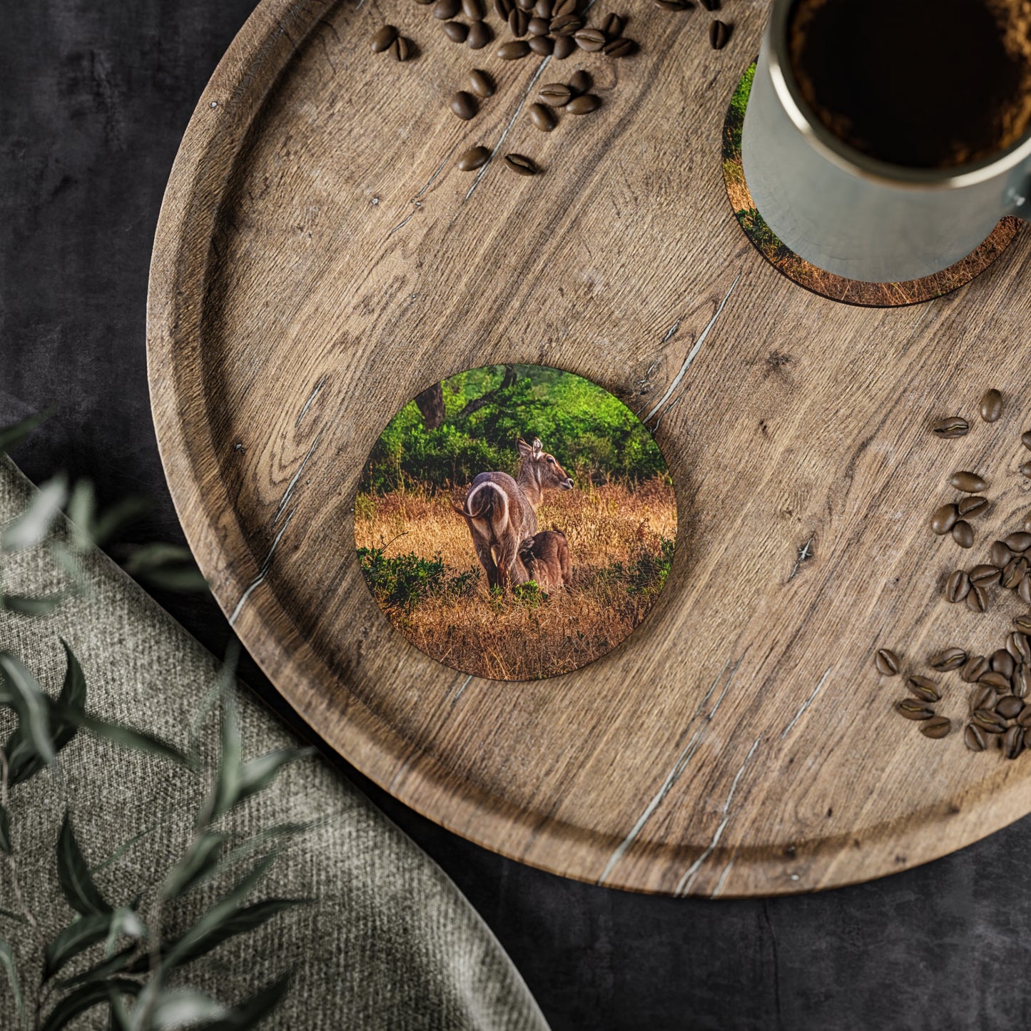 Waterbuck Baby Animal Coasters