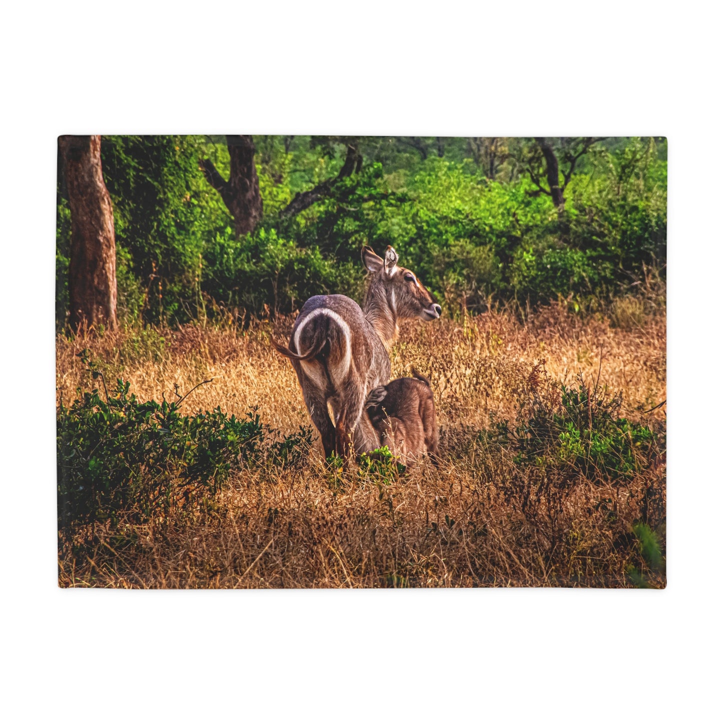 Waterbuck Plush Fleece Blanket 30" × 40"