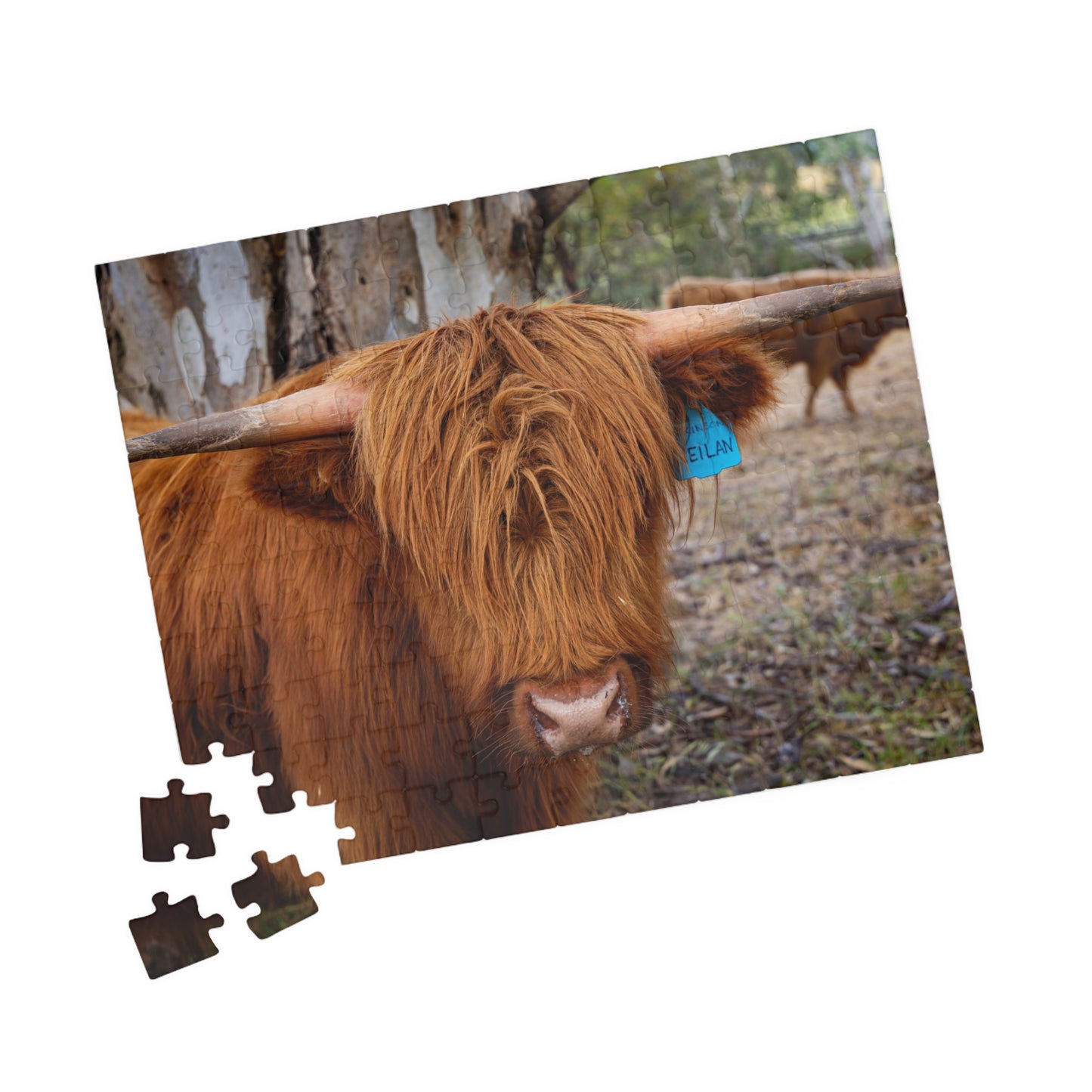 Scottish Highland Cattle Puzzle